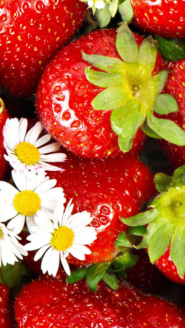 Strawberry 春の苺いちごイチゴ祭り Iphone壁紙編 春 を感じさせてくれる 爽やか系 スマホ壁紙 待ち受け画面 Naver まとめ