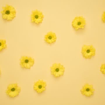 【289位】黄色い花