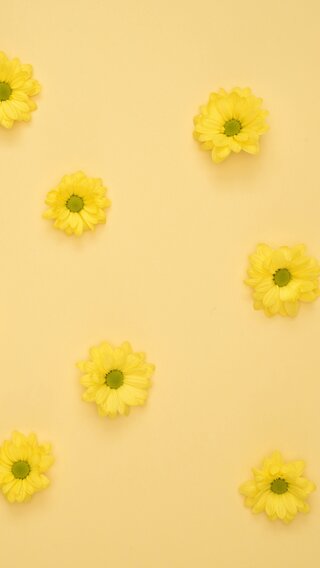 【186位】黄色い花