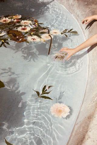 花を浮かべたプール
