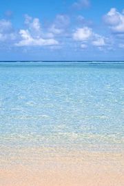 透明なビーチ | 美しい夏の自然