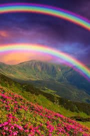 二重の虹と花畑