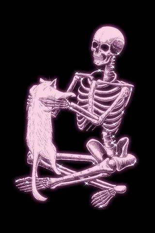 猫と骸骨
