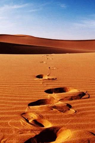砂漠の足跡