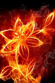 炎の花