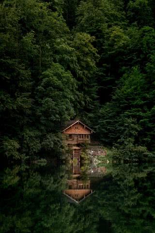【40位】湖畔の小屋