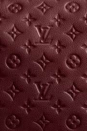 Louis Vuitton（レッド）