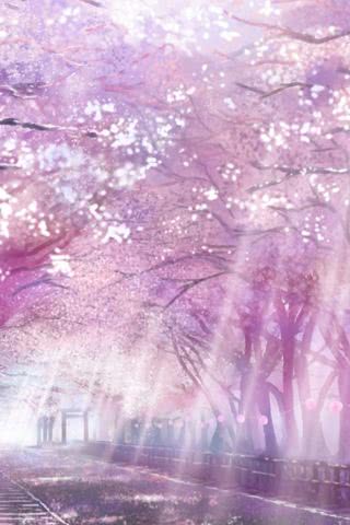 【29位】桜|桜のiPhone壁紙