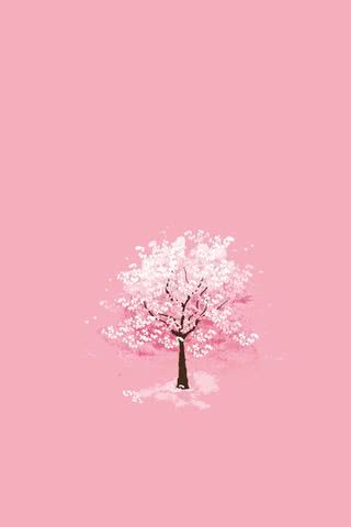 【15位】桜
