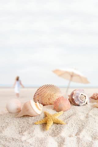 浜辺の貝殻 | ガーリーなiPhone壁紙🌴