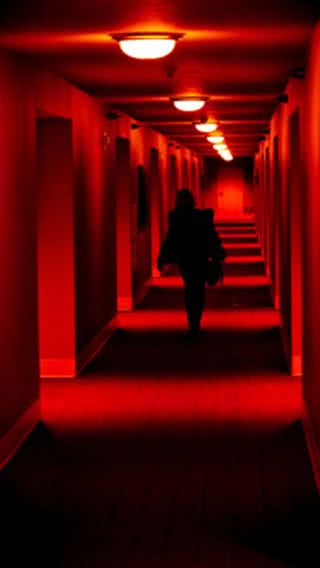 【新着10位】赤い廊下