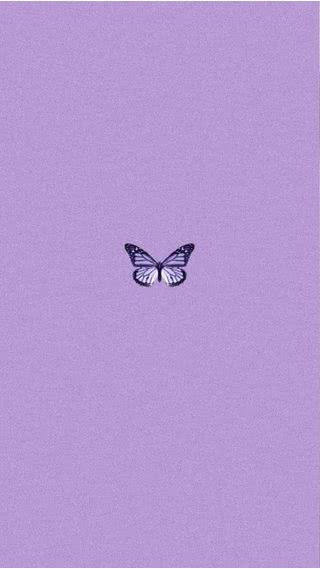 紫色の蝶
