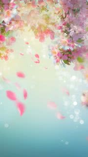 【38位】春の花|桜のiPhone壁紙