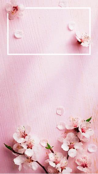 【6位】桜|桜のiPhone壁紙