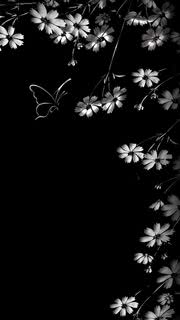 花と蝶 | 白と黒のかっこいい壁紙