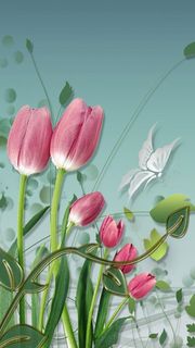チューリップと蝶 | 春のiPhone壁紙