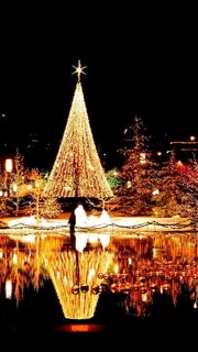 クリスマス イルミネーション 夜景 風景の壁紙