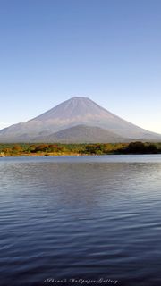 湖から眺める富士山 - iPhone壁紙