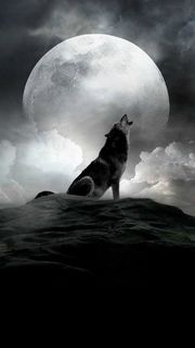 オオカミと月
