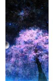 【66位】夜桜と星空|桜のiPhone壁紙