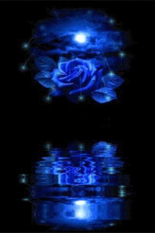 Blue Rose Reflected In Water L スマホ ライブ壁紙ギャラリー