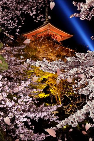 桜 壁紙 縦 待ち受け 桜 壁紙 縦 あなたのための最高の壁紙画像