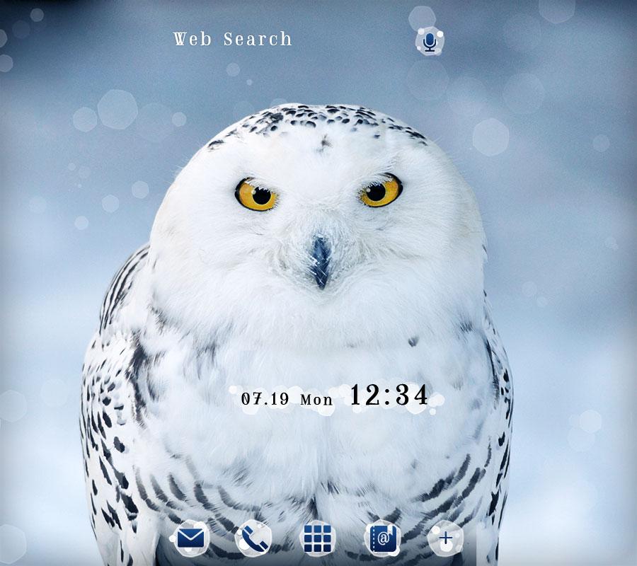 Cool Wallpaper Snowy Owl スマホ ライブ壁紙ギャラリー