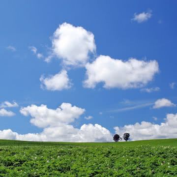 草原