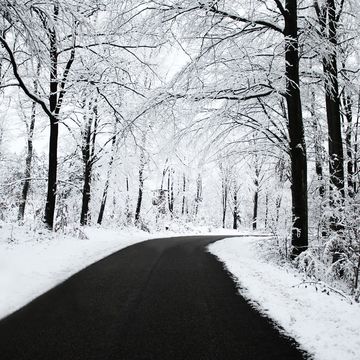 冬の道路