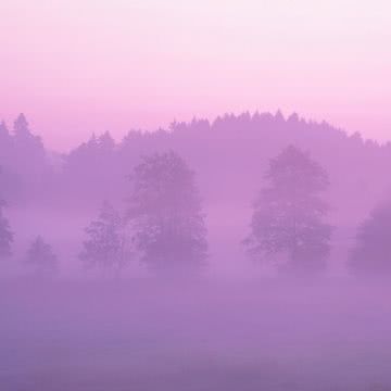 紫霧に包まれた山