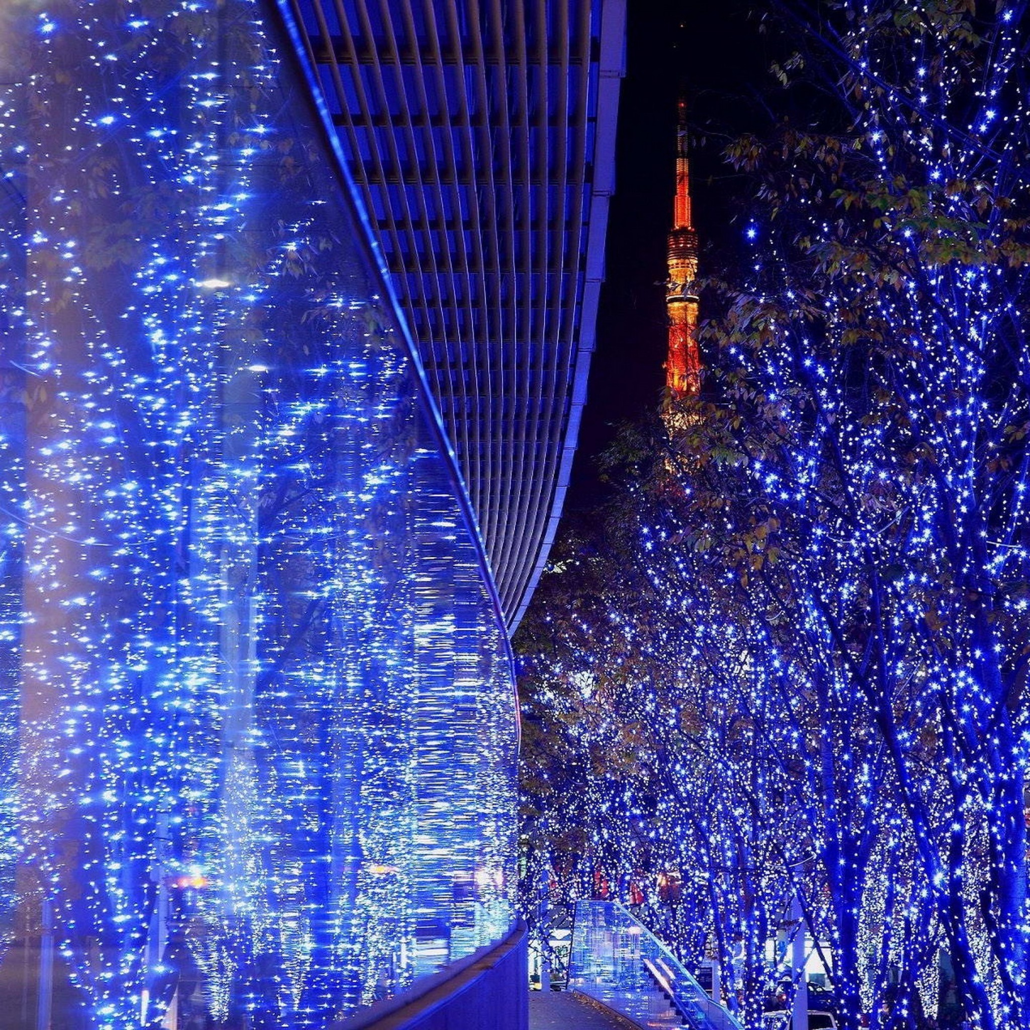 イルミネーション 夜景 風景の壁紙 Ipad タブレット壁紙ギャラリー