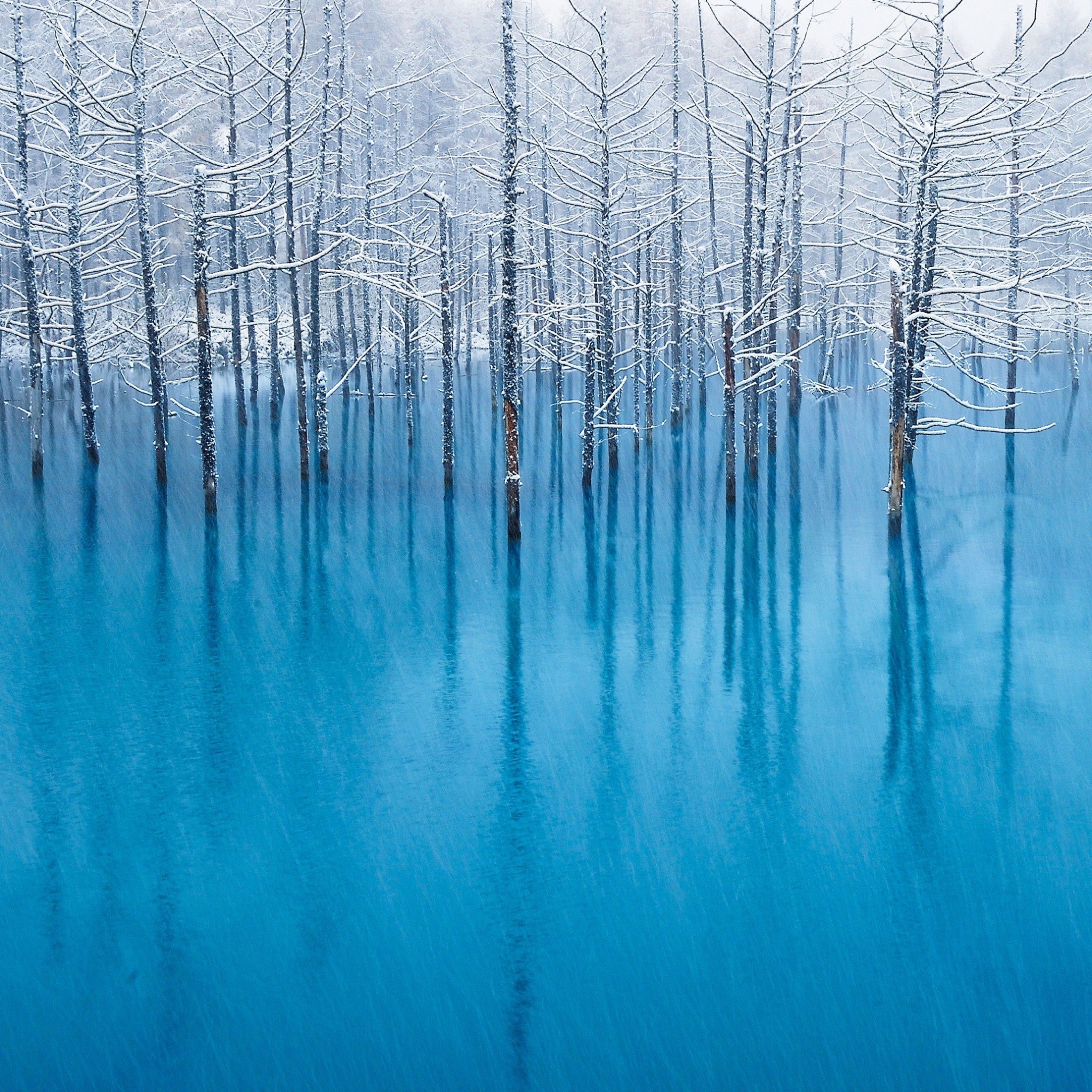 青い水と白い雪の美しい風景 Ipad タブレット壁紙ギャラリー