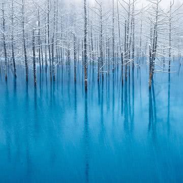 青い水と白い雪の美しい風景