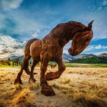 野生の馬