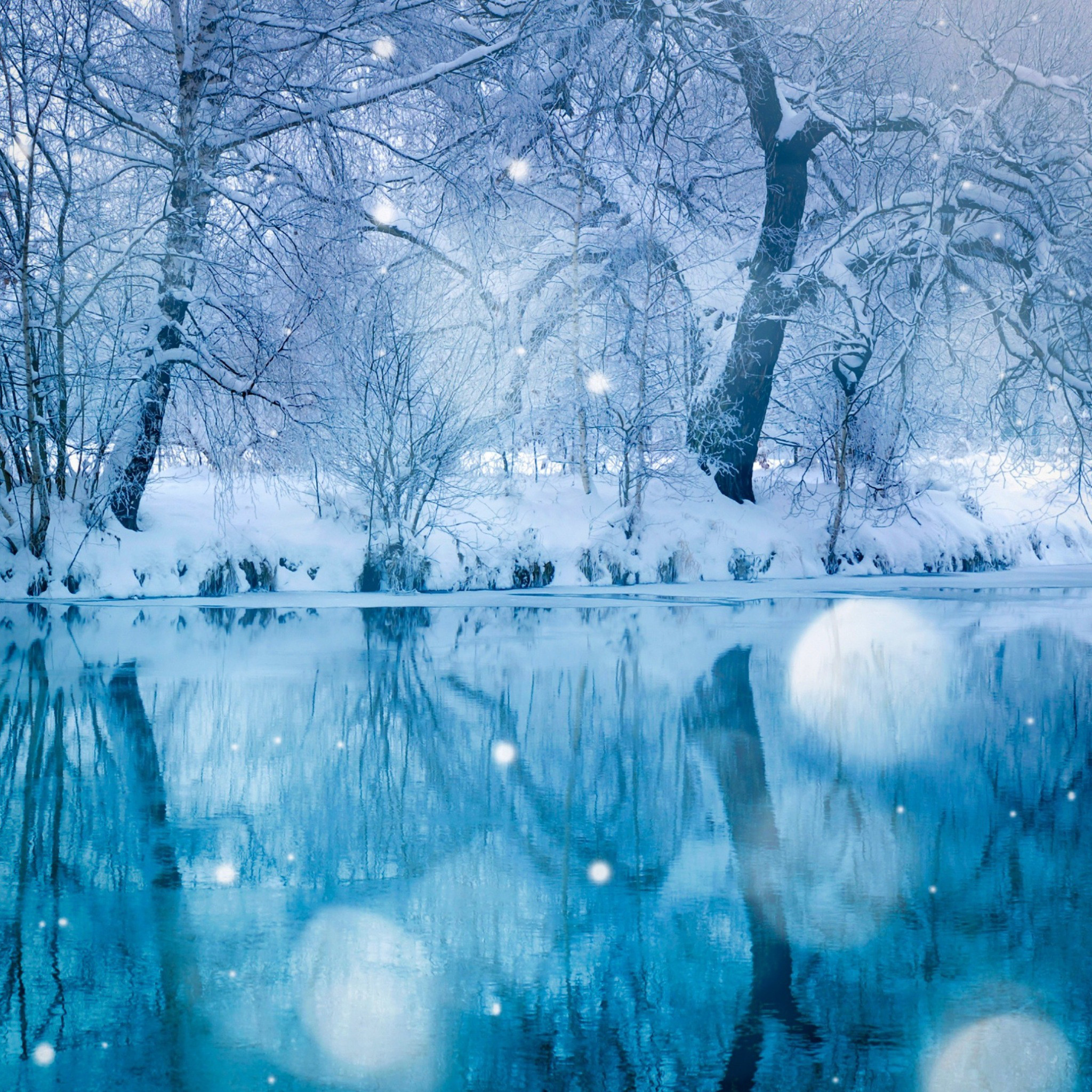ディズニー画像ランド 綺麗な冬 景色 雪景 色 壁紙 高 画質