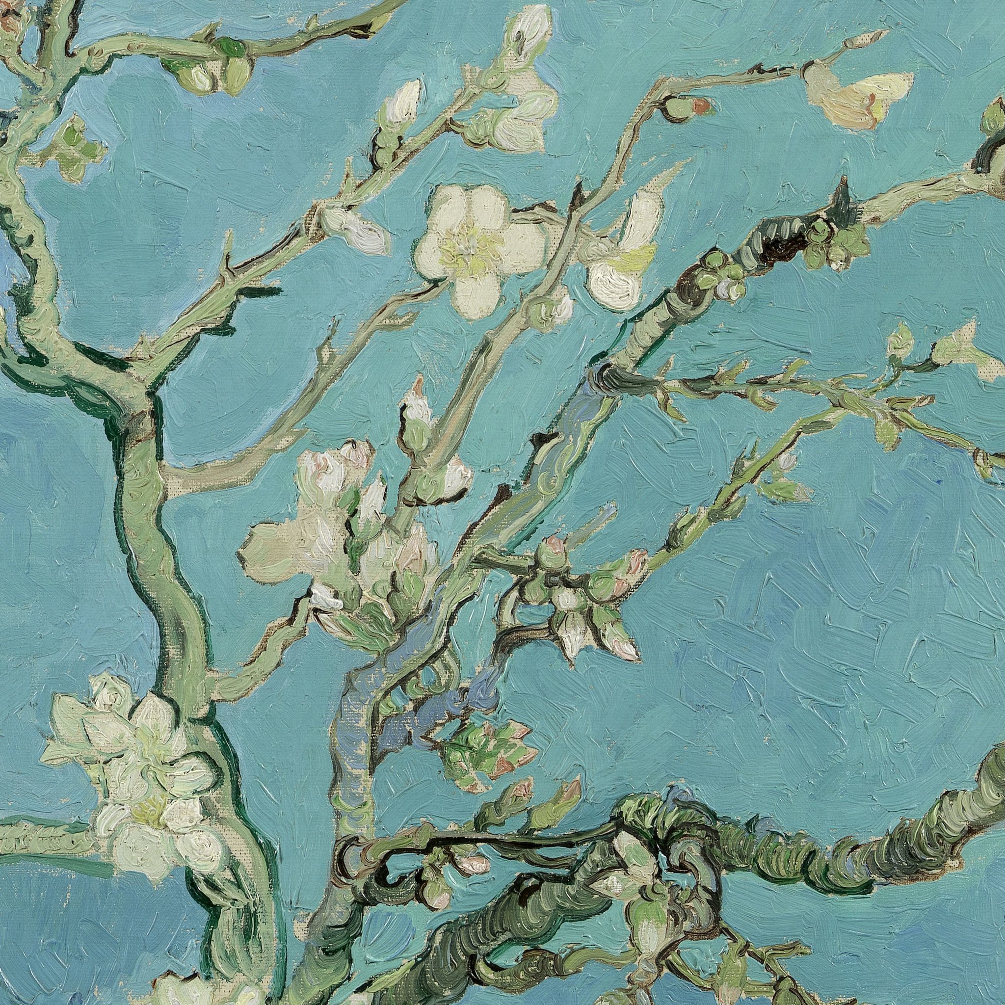 ゴッホ 花咲くアーモンドの木の枝 Ipad タブレット壁紙ギャラリー