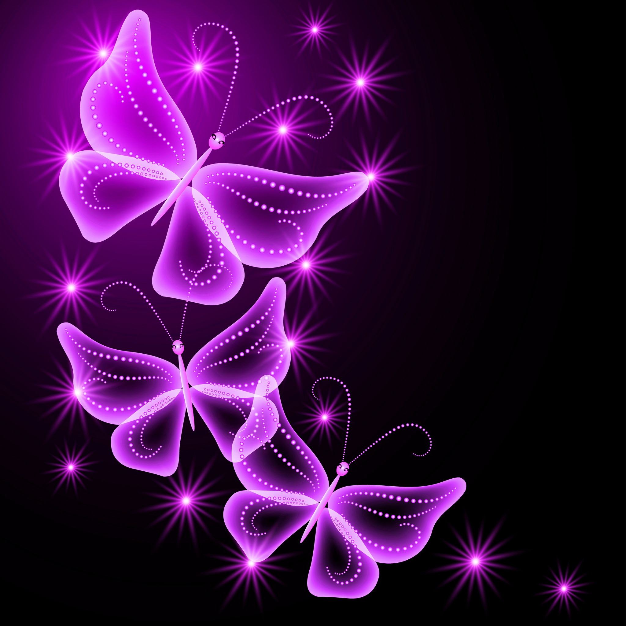 紫の蝶 Ipad タブレット壁紙ギャラリー