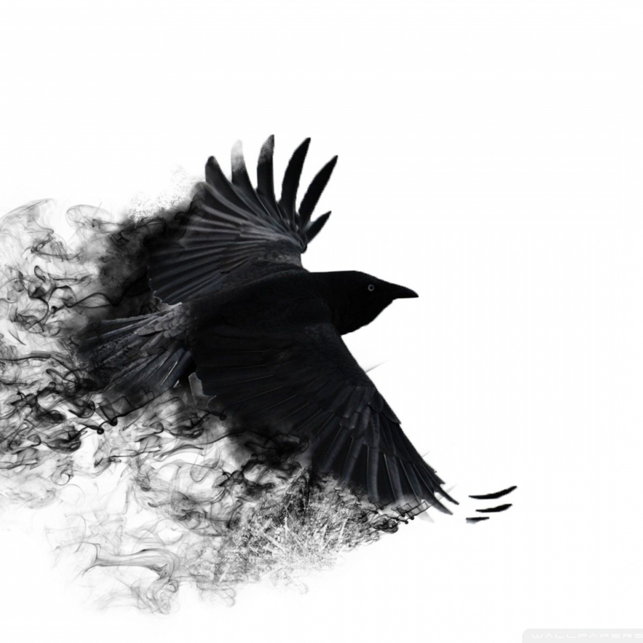 Crow Ipad タブレット壁紙ギャラリー