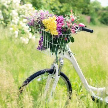 自転車のカゴに花