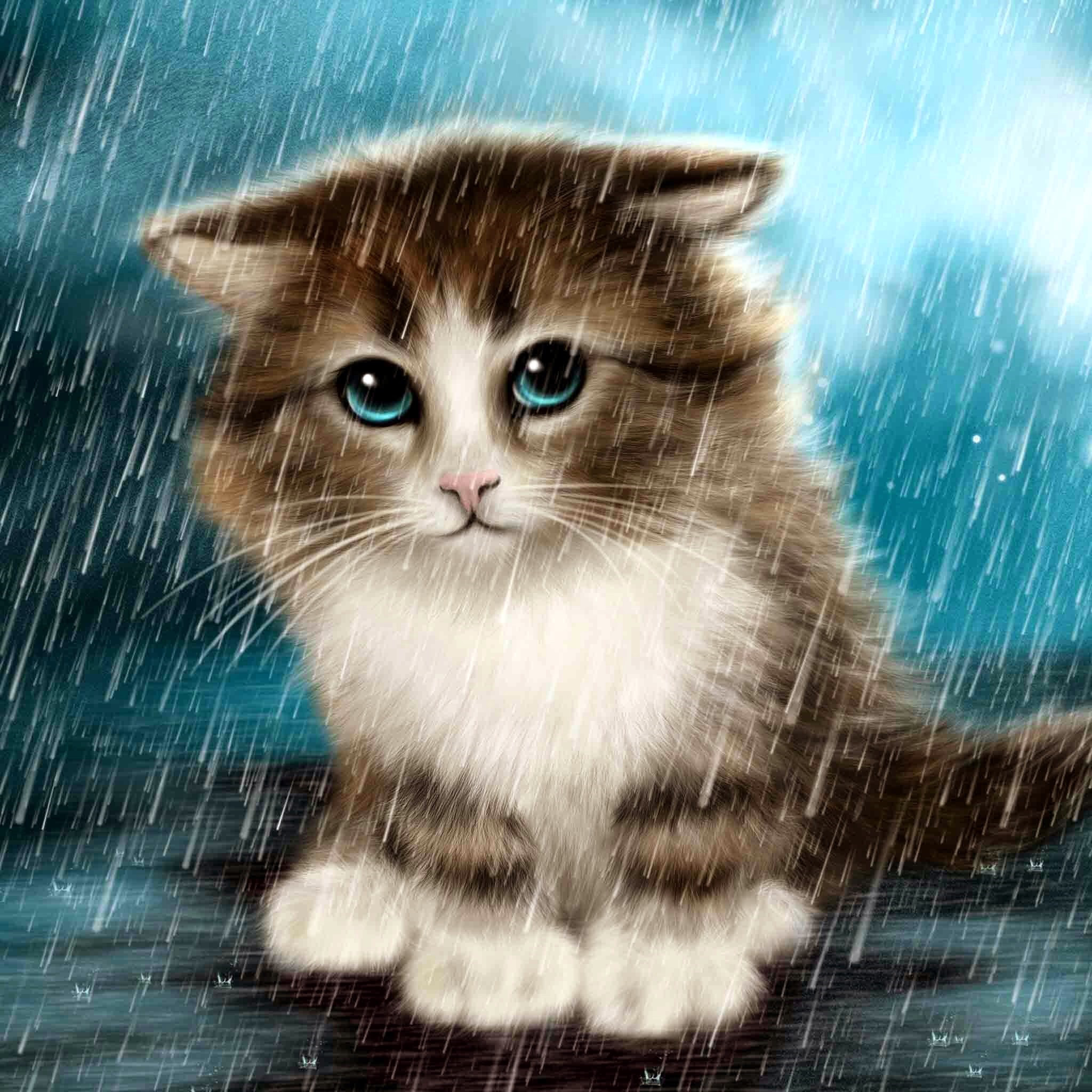 雨の中の猫 動物イラストのipad壁紙 Ipad タブレット壁紙ギャラリー