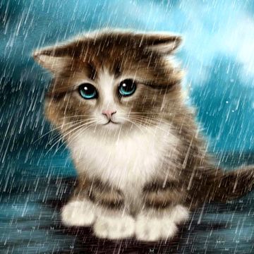 雨の中の猫 | 動物イラストのiPad壁紙