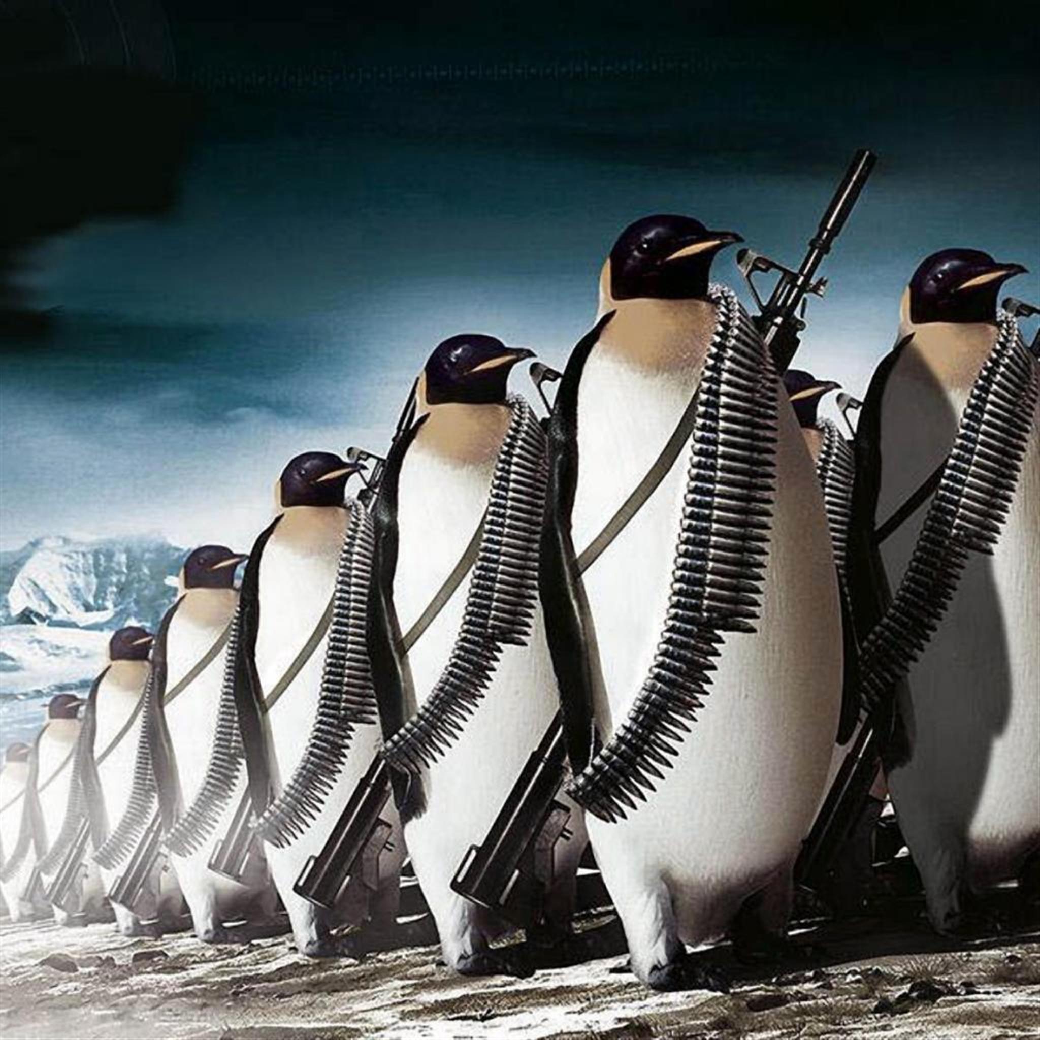 ペンギンの軍隊 Ipad タブレット壁紙ギャラリー