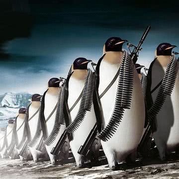 人気216位 かわいいペンギン 動物のipad壁紙 Ipad タブレット壁紙ギャラリー