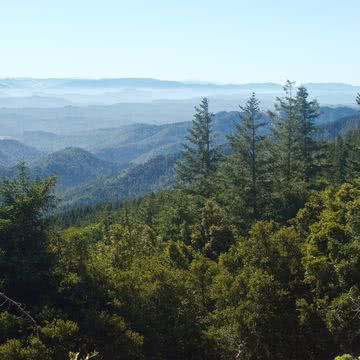 山の景色