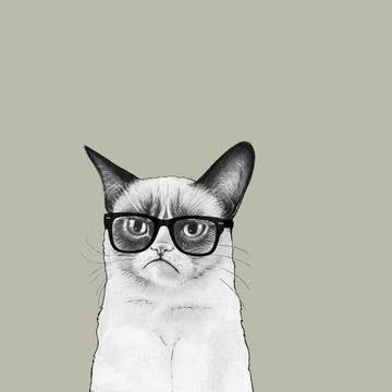 メガネ猫 | 動物のイラスト