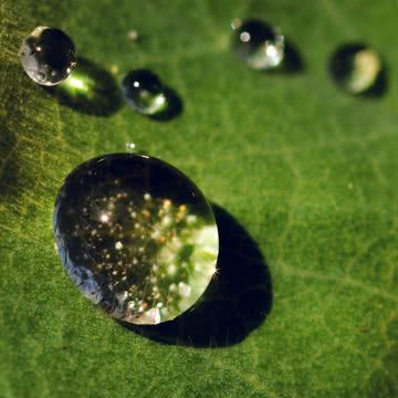 水の雫