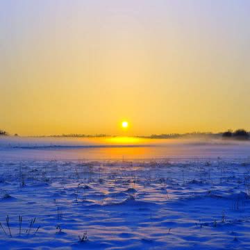 雪原の朝