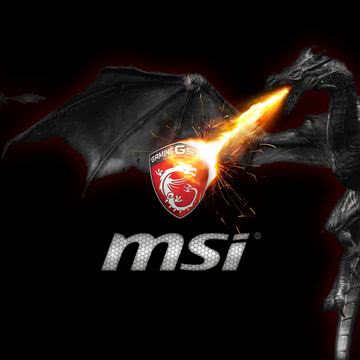 MSI