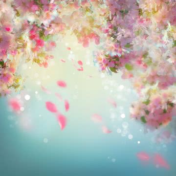 【9位】桜