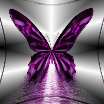 Purple Butterfly